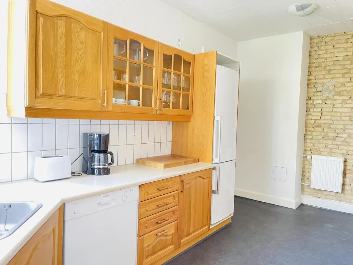 Daire Aday - City Central Mansion - 1 Bedroom With Big Terrace Aalborg
